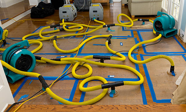 Professional Water Extraction technician working in Derby, CT